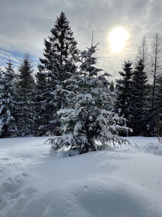 Chata Vevericka Oravská Lesná Buitenkant foto