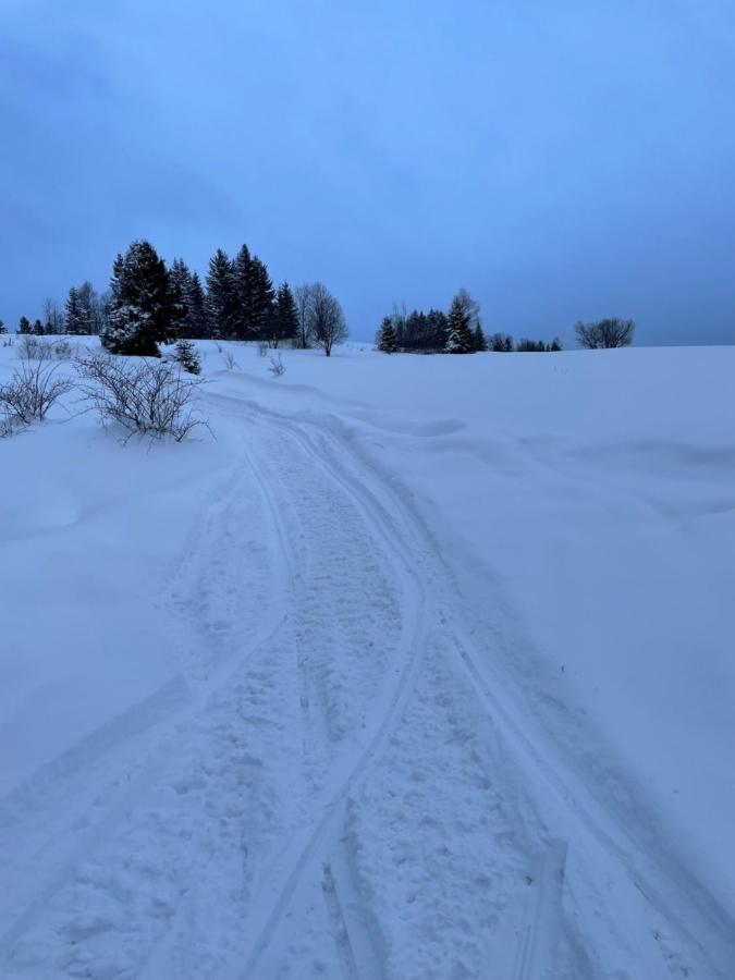 Chata Vevericka Oravská Lesná Buitenkant foto